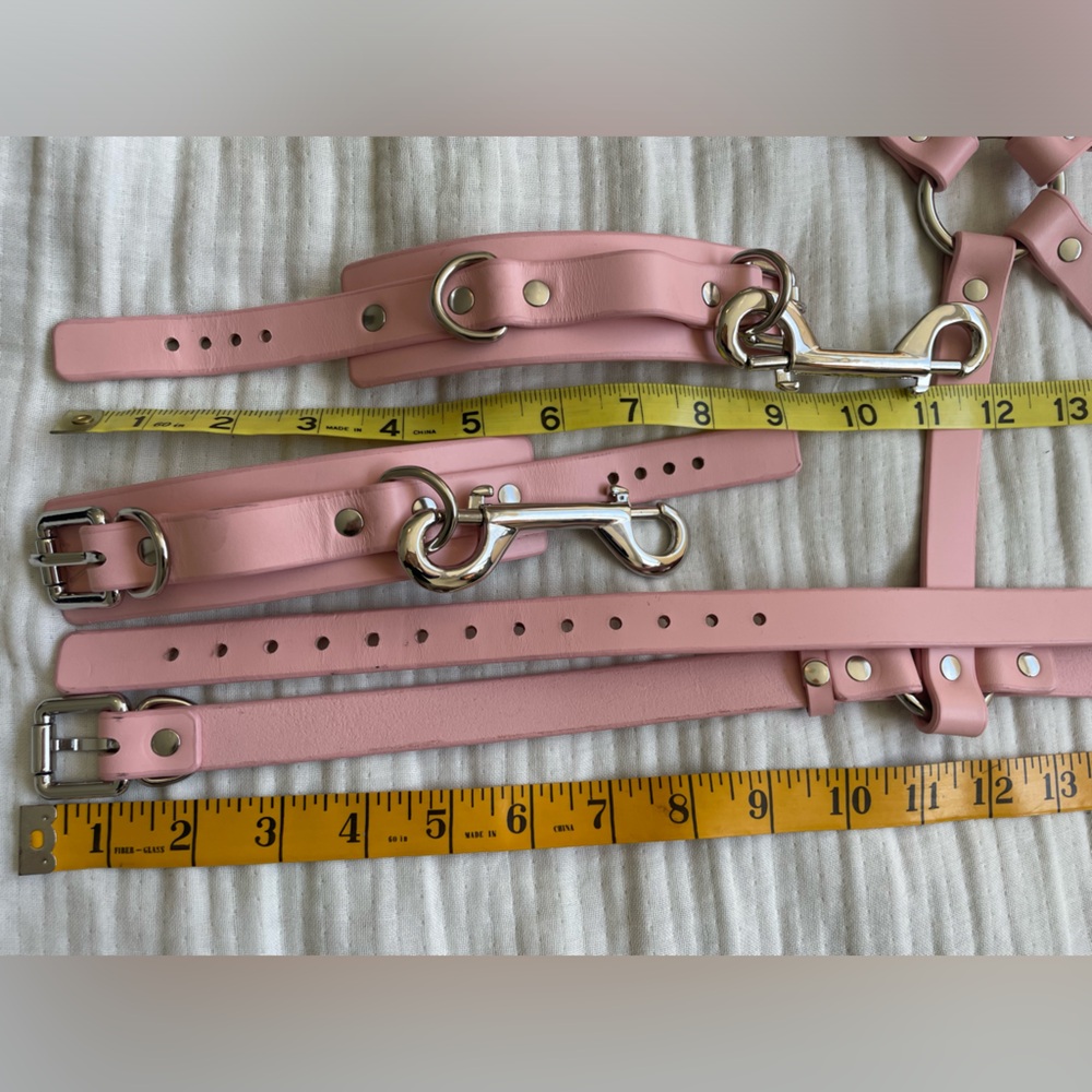 Anoeses Leather Pink Terra bondage Lingerie Set - Picture 13 of 17